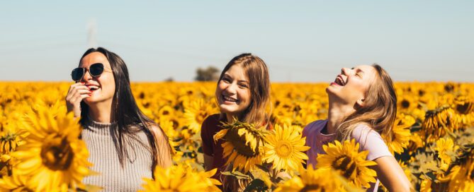 Three women laughing in a field of sunflowers