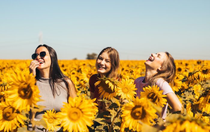 Three women laughing in a field of sunflowers