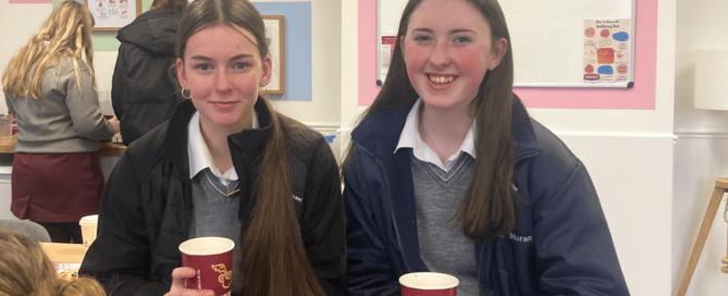 A year of impact: mdeducational foundation Wellbeing Support Initiative in an Irish School