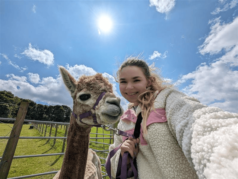 mdeducational foundation Marketing Executive, Susanna Neuvonen's wellbeing enrichment activities - walking alpacas